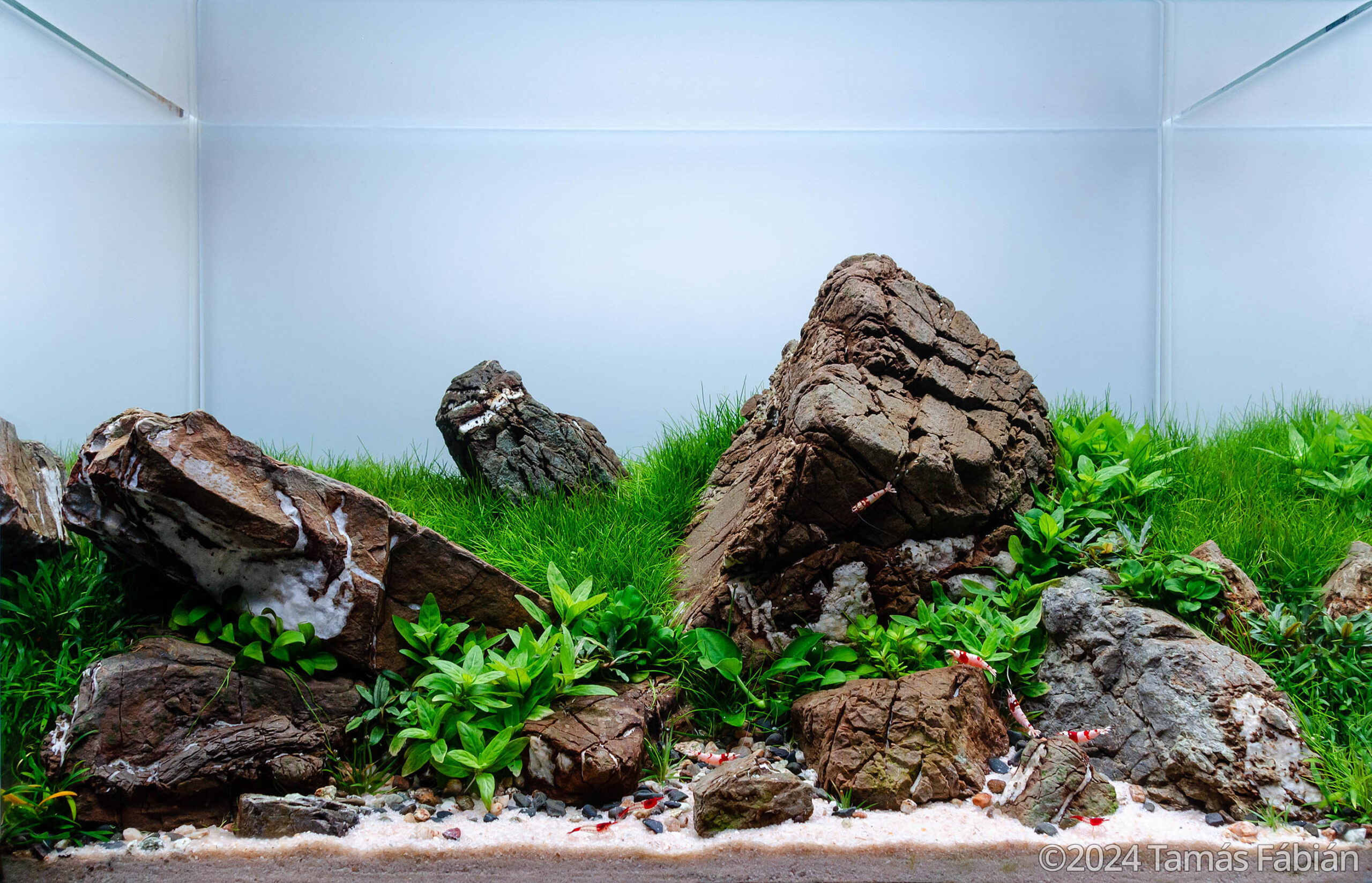 #113 Rocky Shore by Tamás Fábián, Hungary