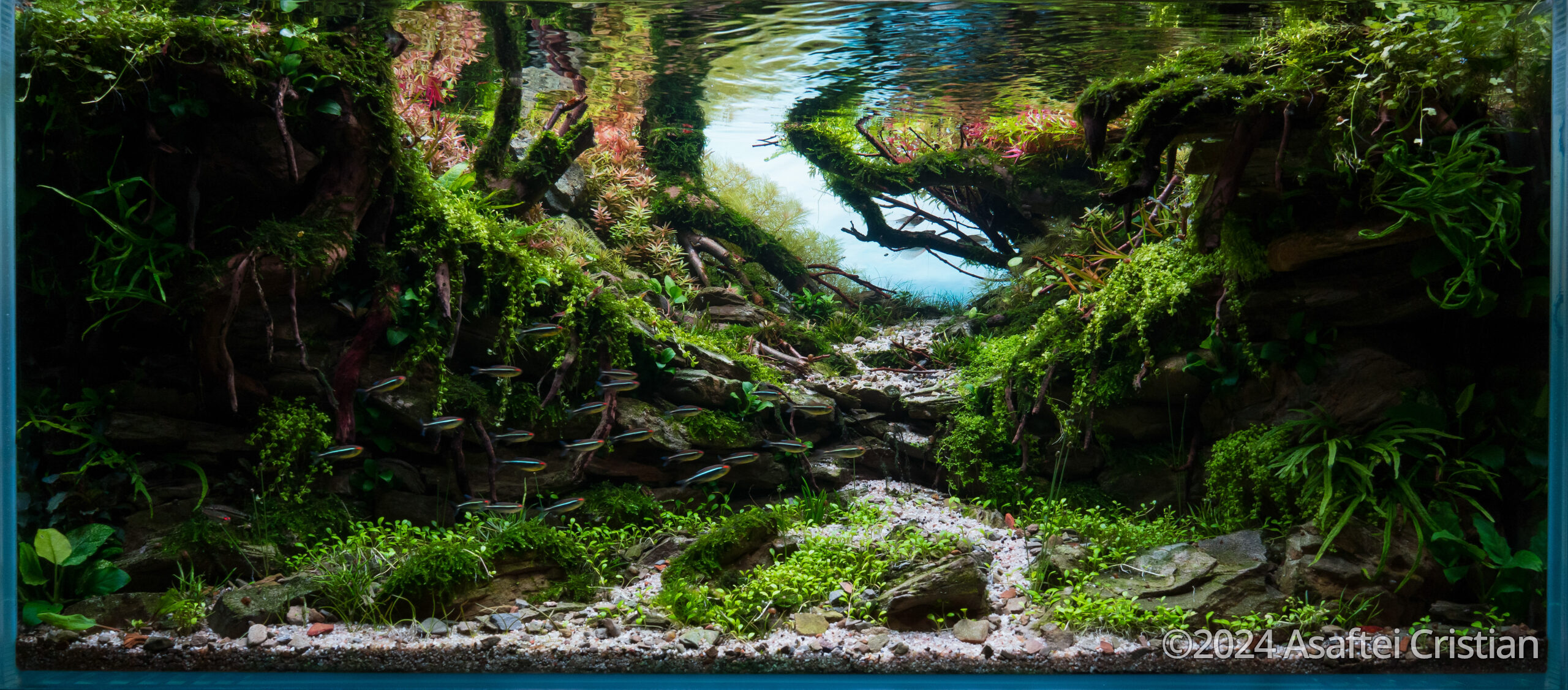#155 Deep by Asaftei Cristian, Romania