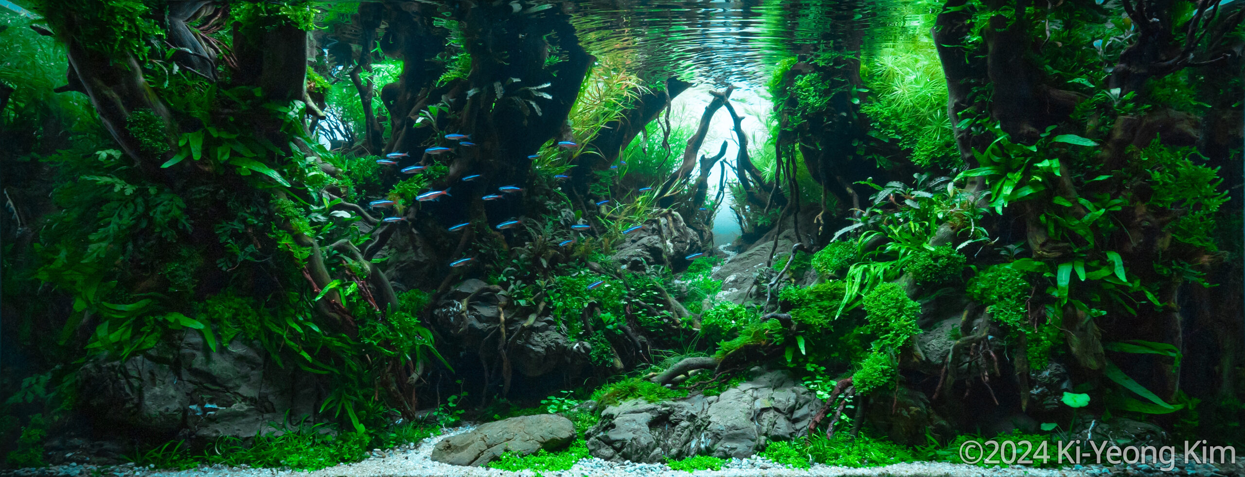 #223 Always Green by Ki-Yeong Kim, South Korea