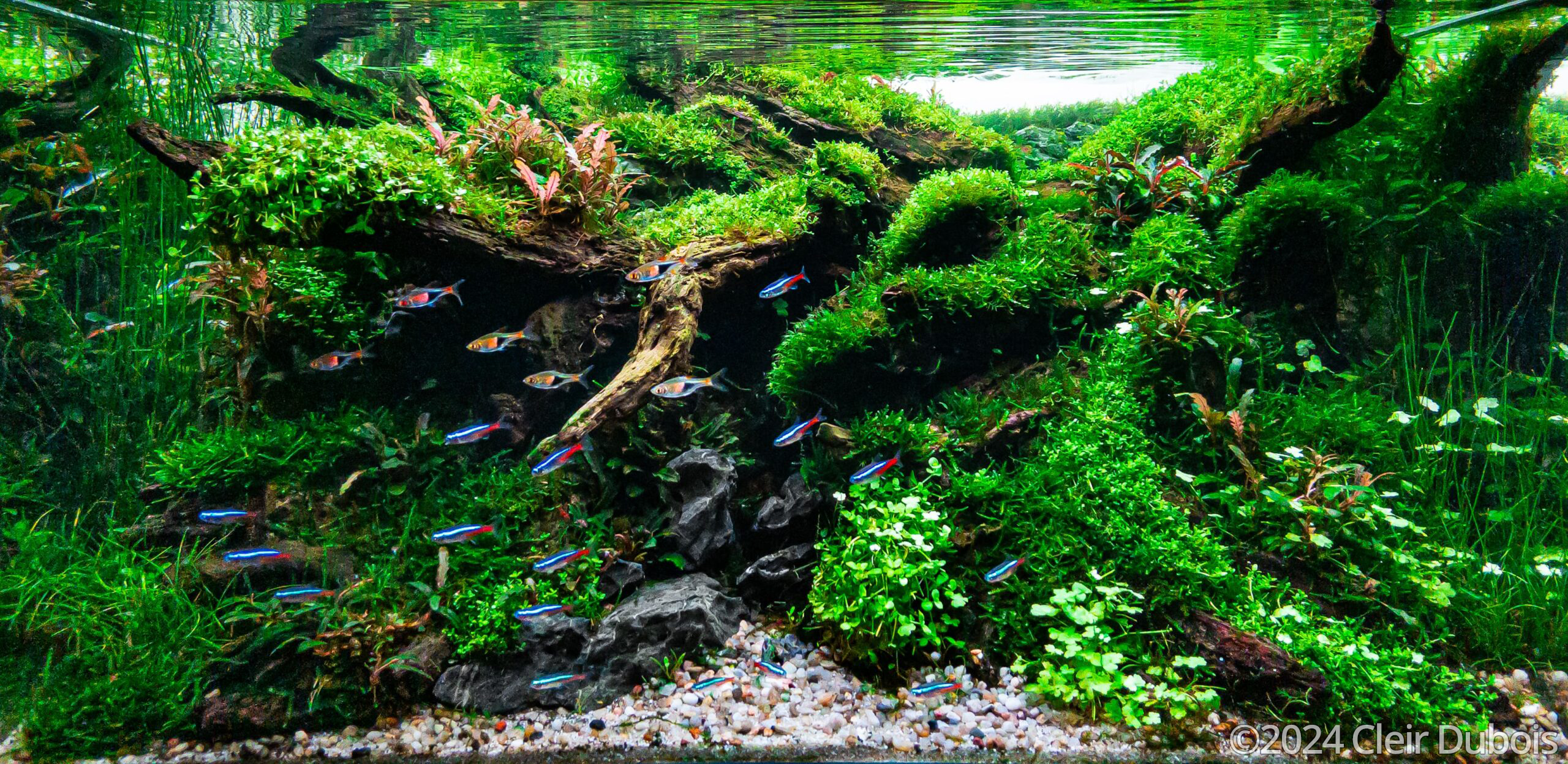 #367 Rio Minho by Cleir Dubois, Portugal