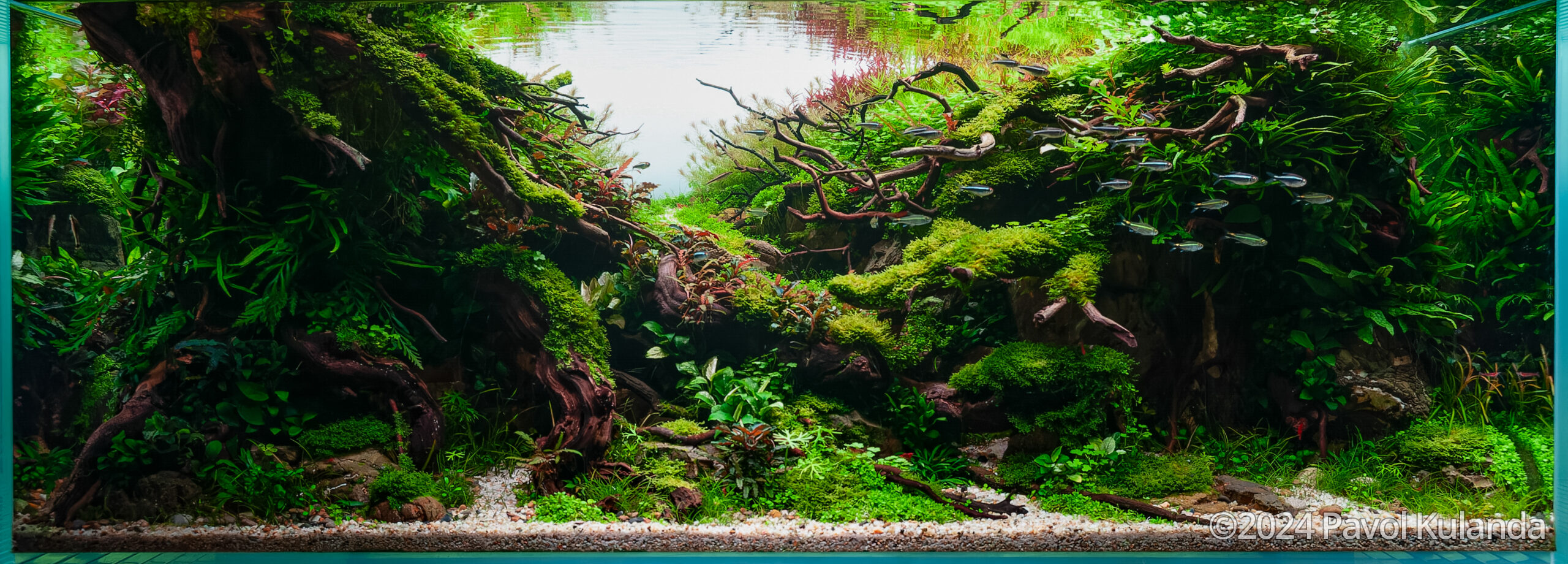 #380 Viridescent Harmony by Pavol Kulanda, United Kingdom