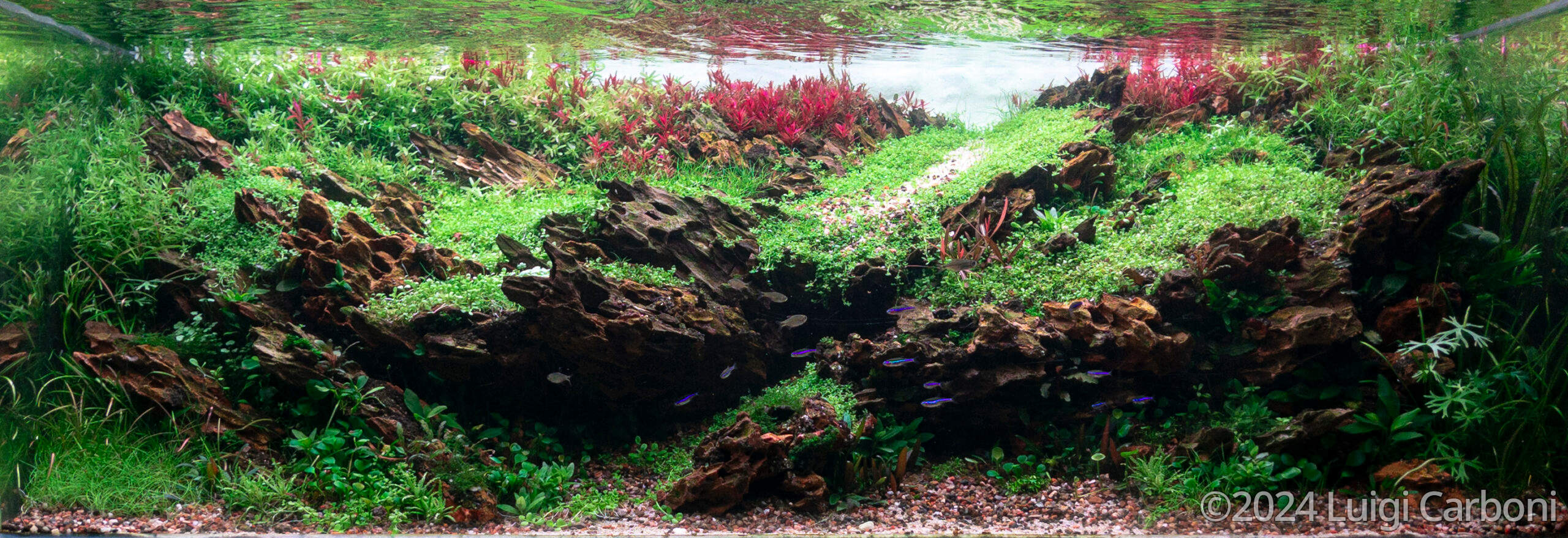 #403 Geological Heaven by Luigi Carboni, Brazil