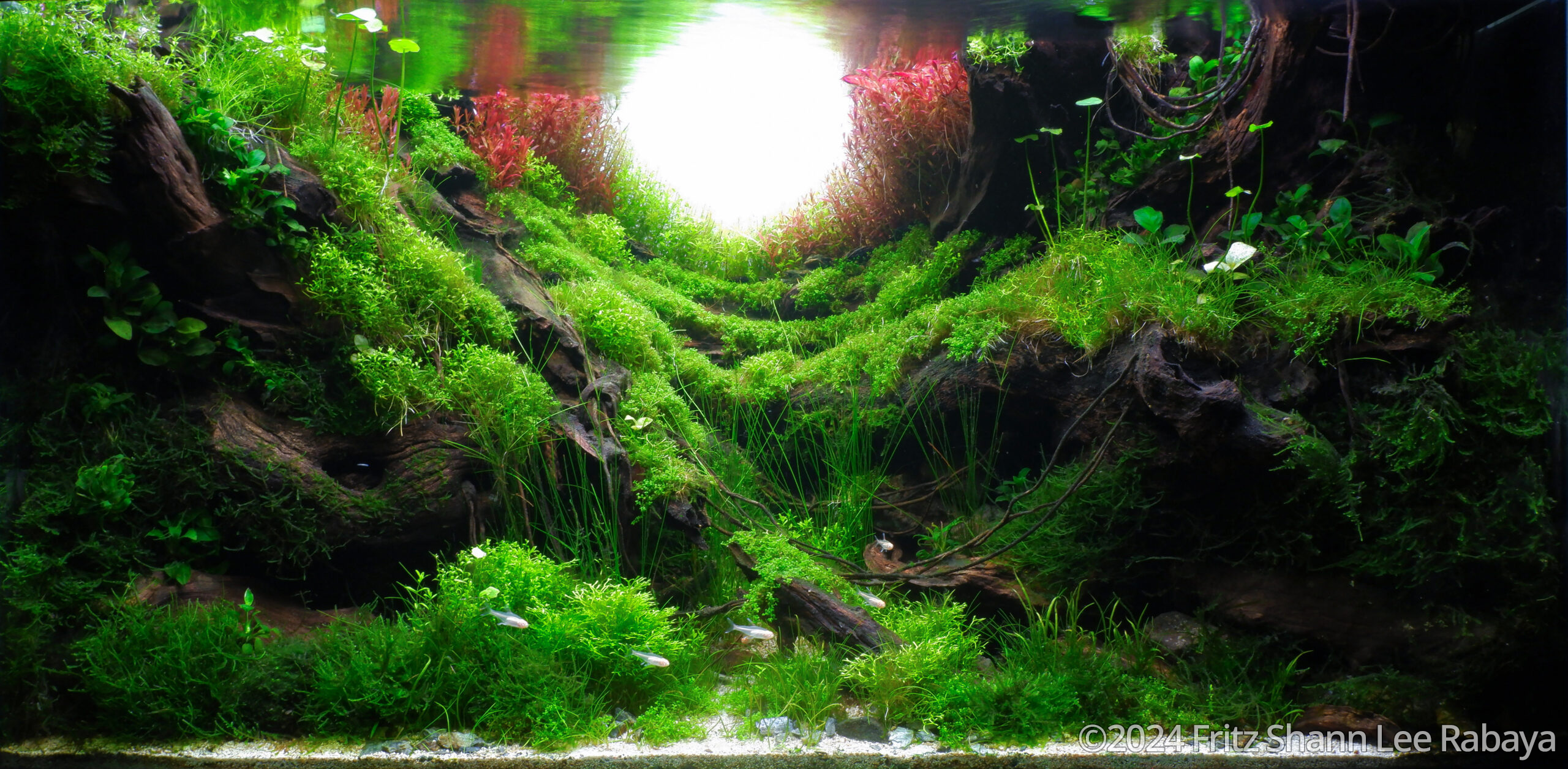 #420 Lost Sanctuary by Fritz Shann Lee Rabaya, Philippines