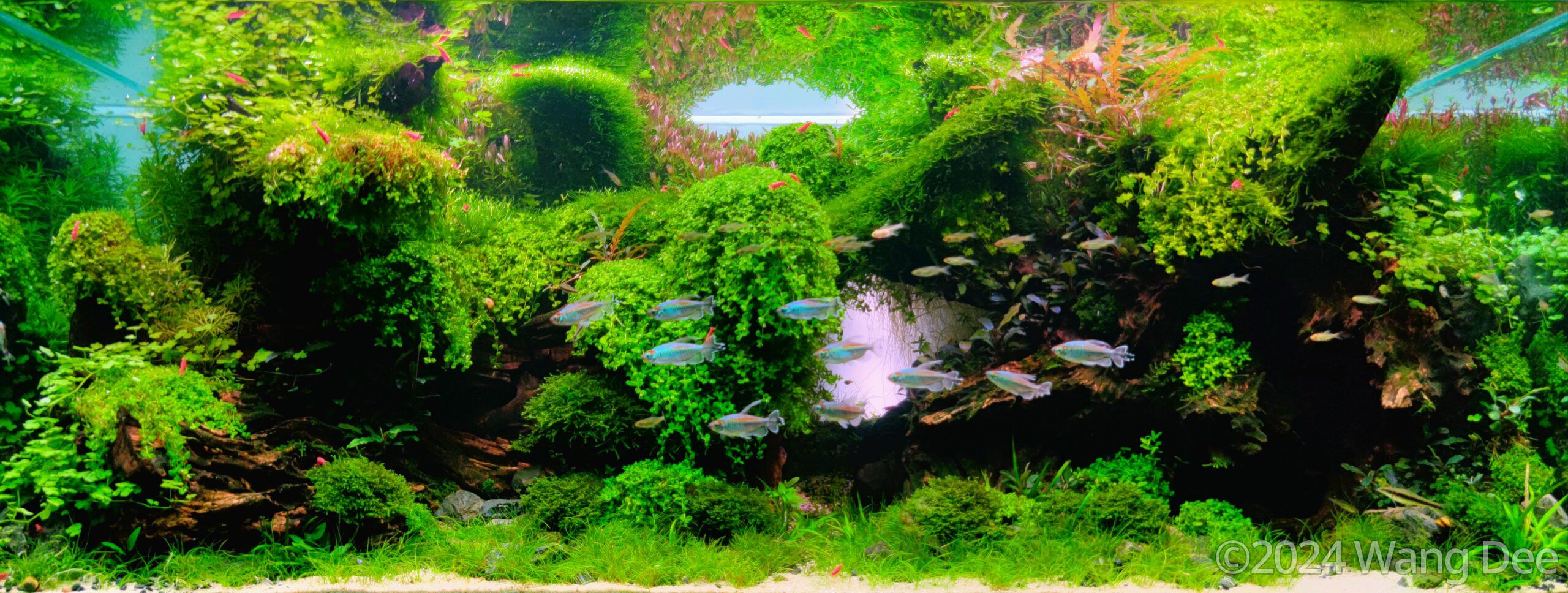 #100 Natural Mess by Wang Dee, Thailand