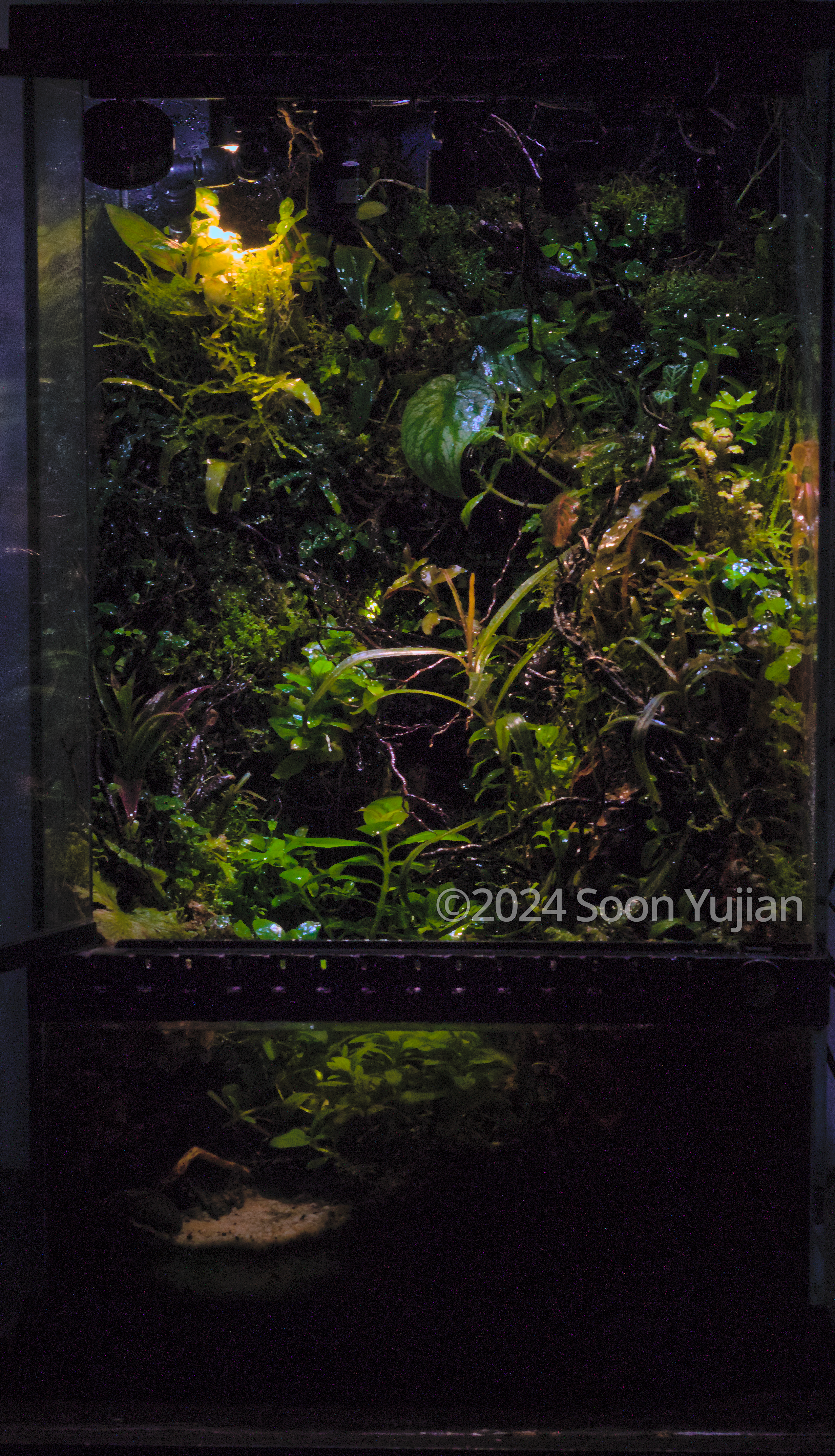 #142 Yokai Night by Soon Yujian, Singapore