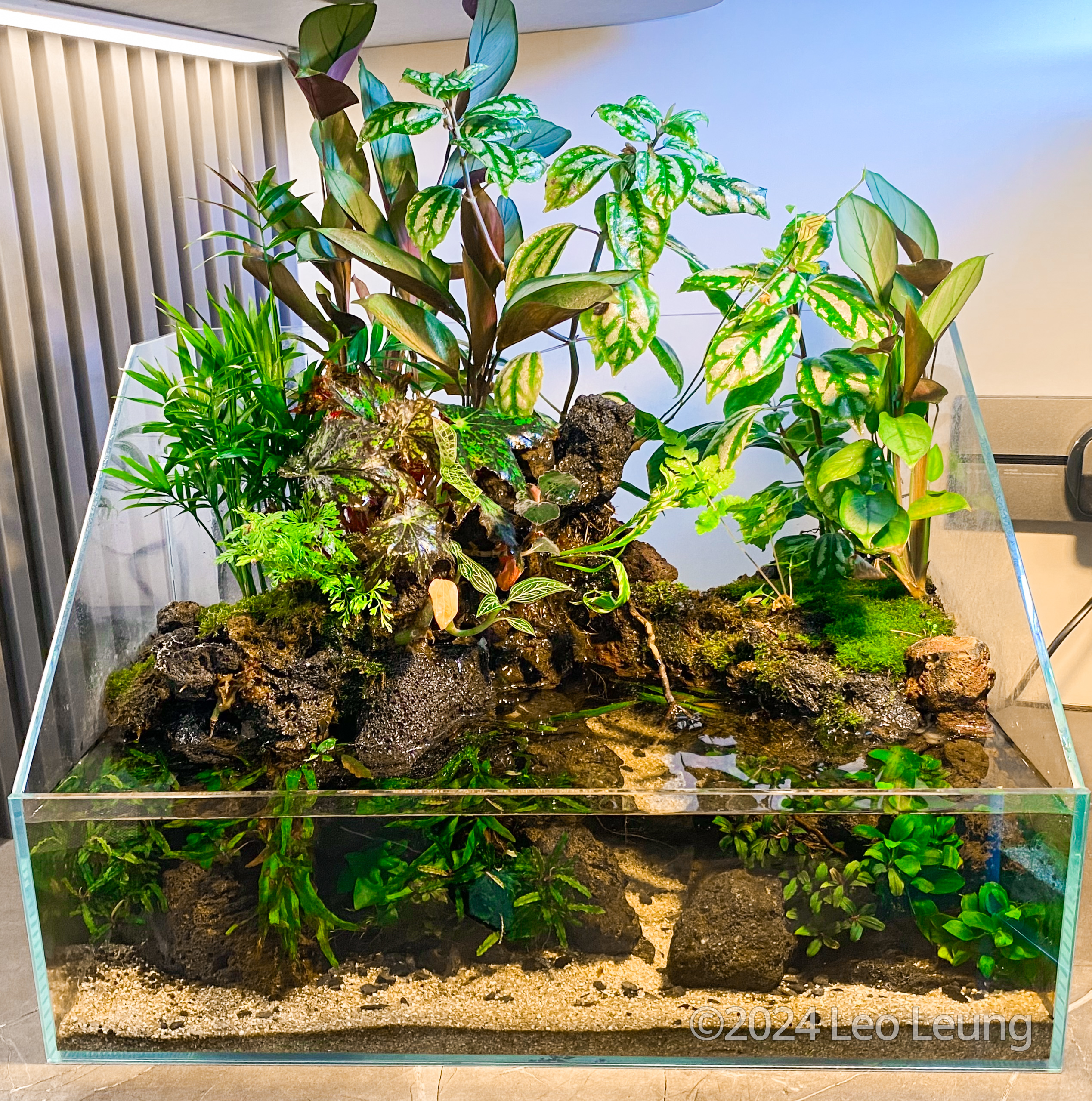 #176 Nature Home by Leo Leung, China