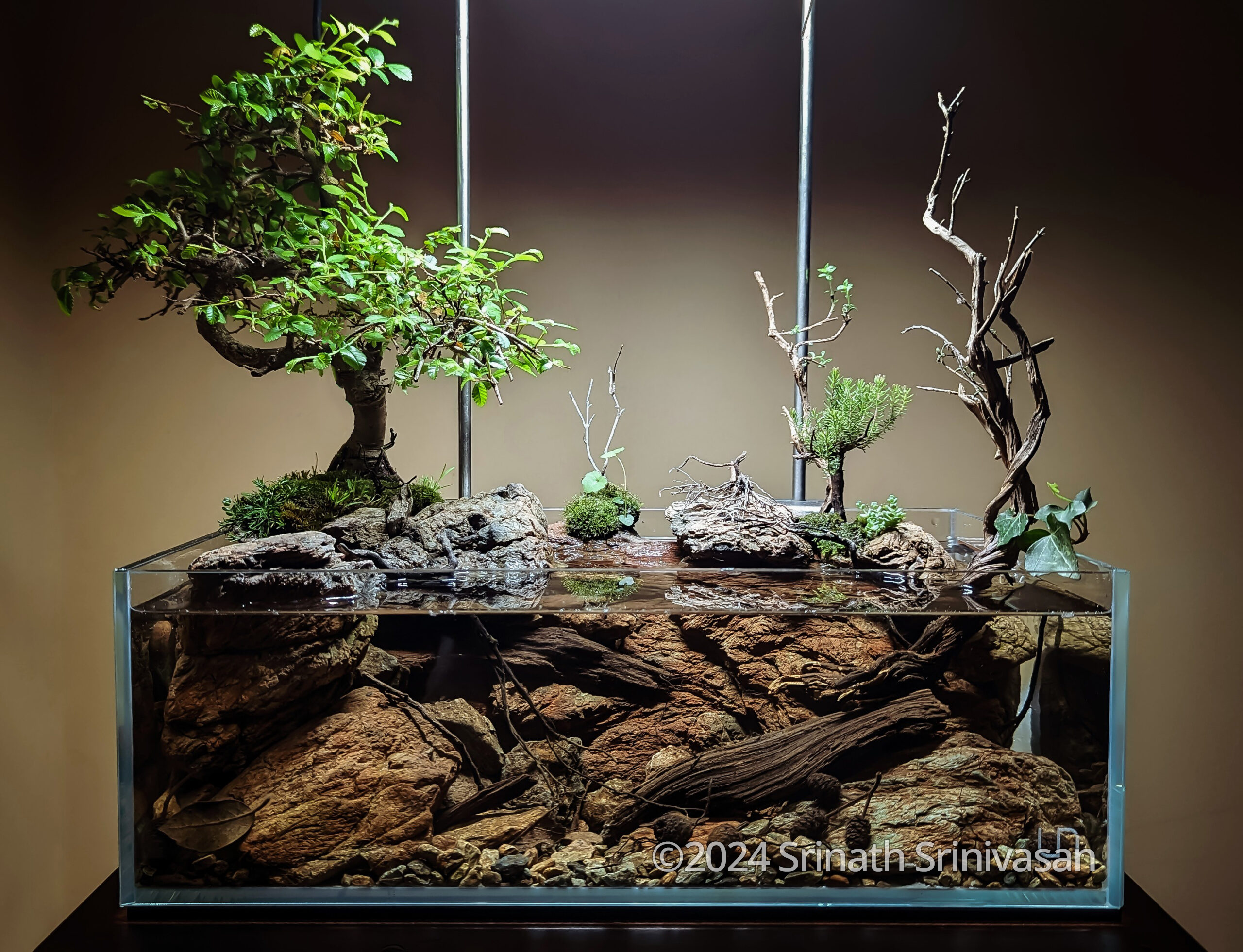 #178 CREEKBED 2.0 by Srinath Srinivasan, Italy