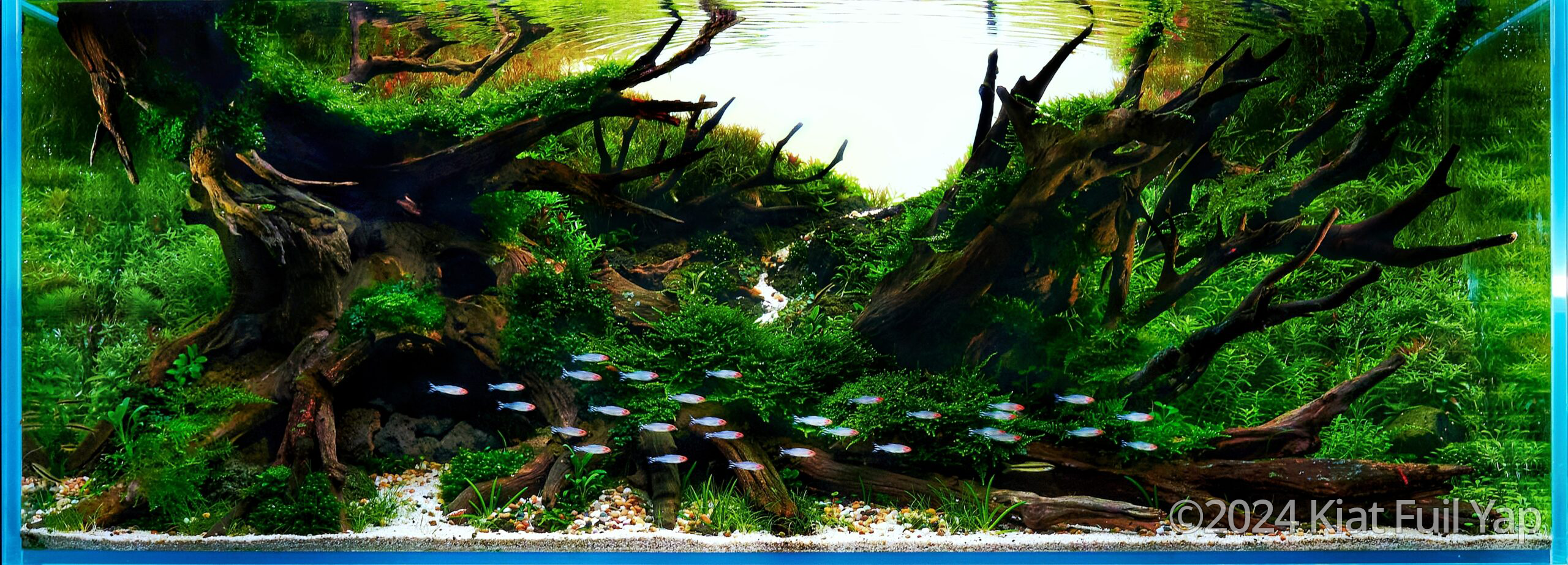 #183 Passage by Kiat Fuil Yap, Malaysia
