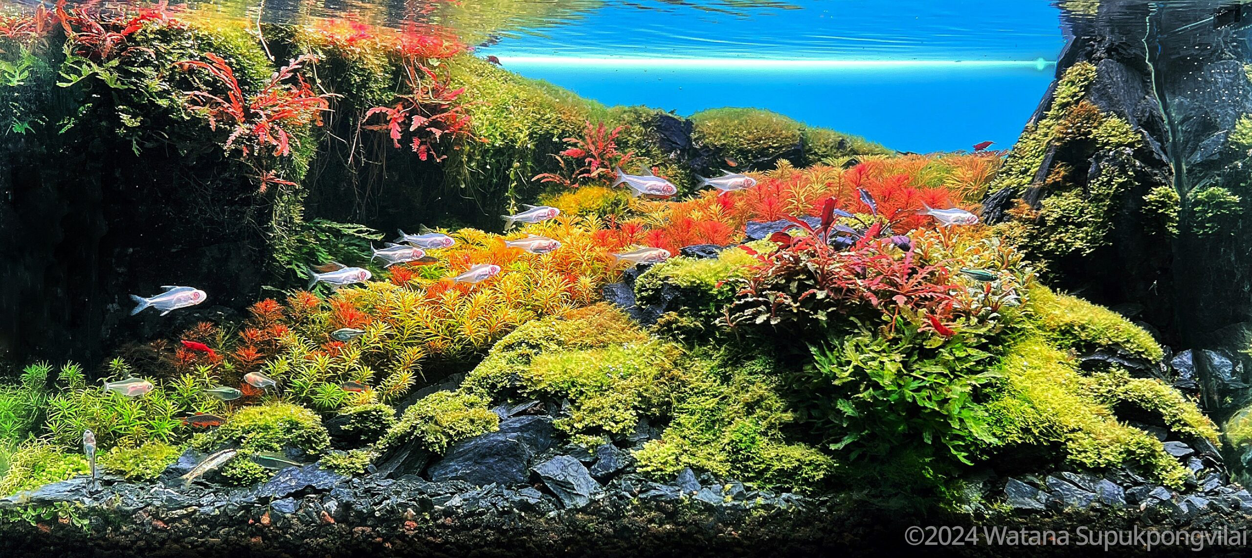 #20  by Watana Supukpongvilai, Thailand