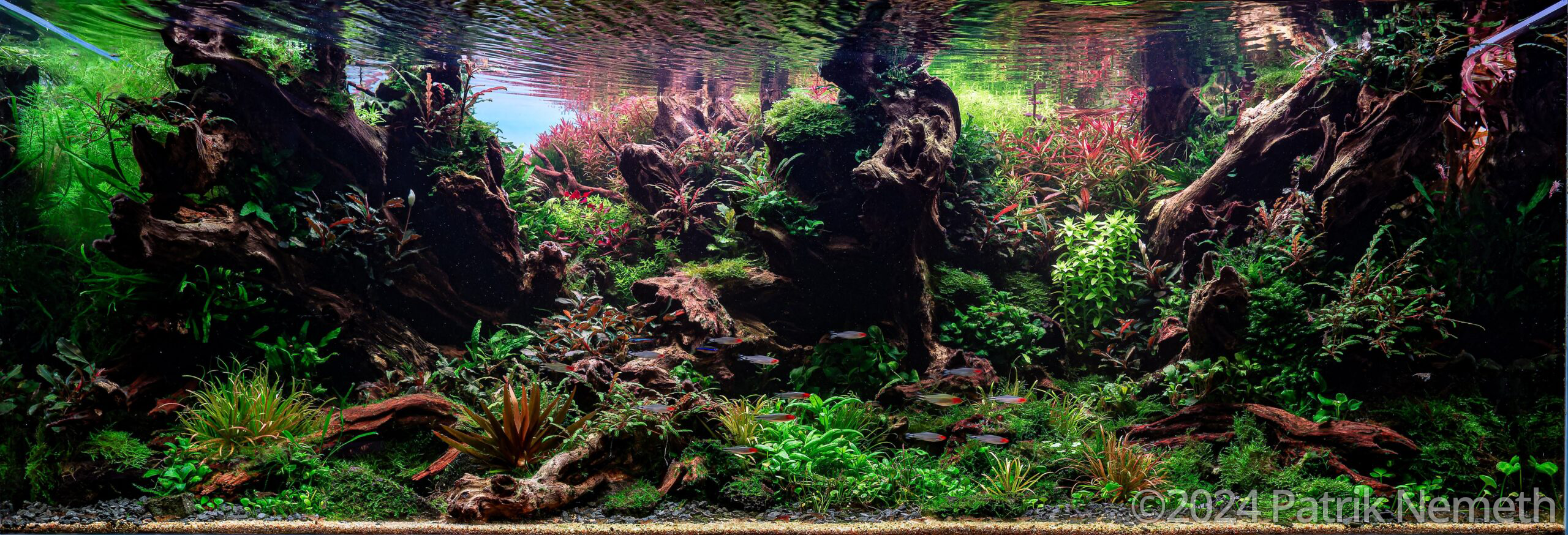 #204 Enjoy the Silence by Patrik Nemeth, Hungary