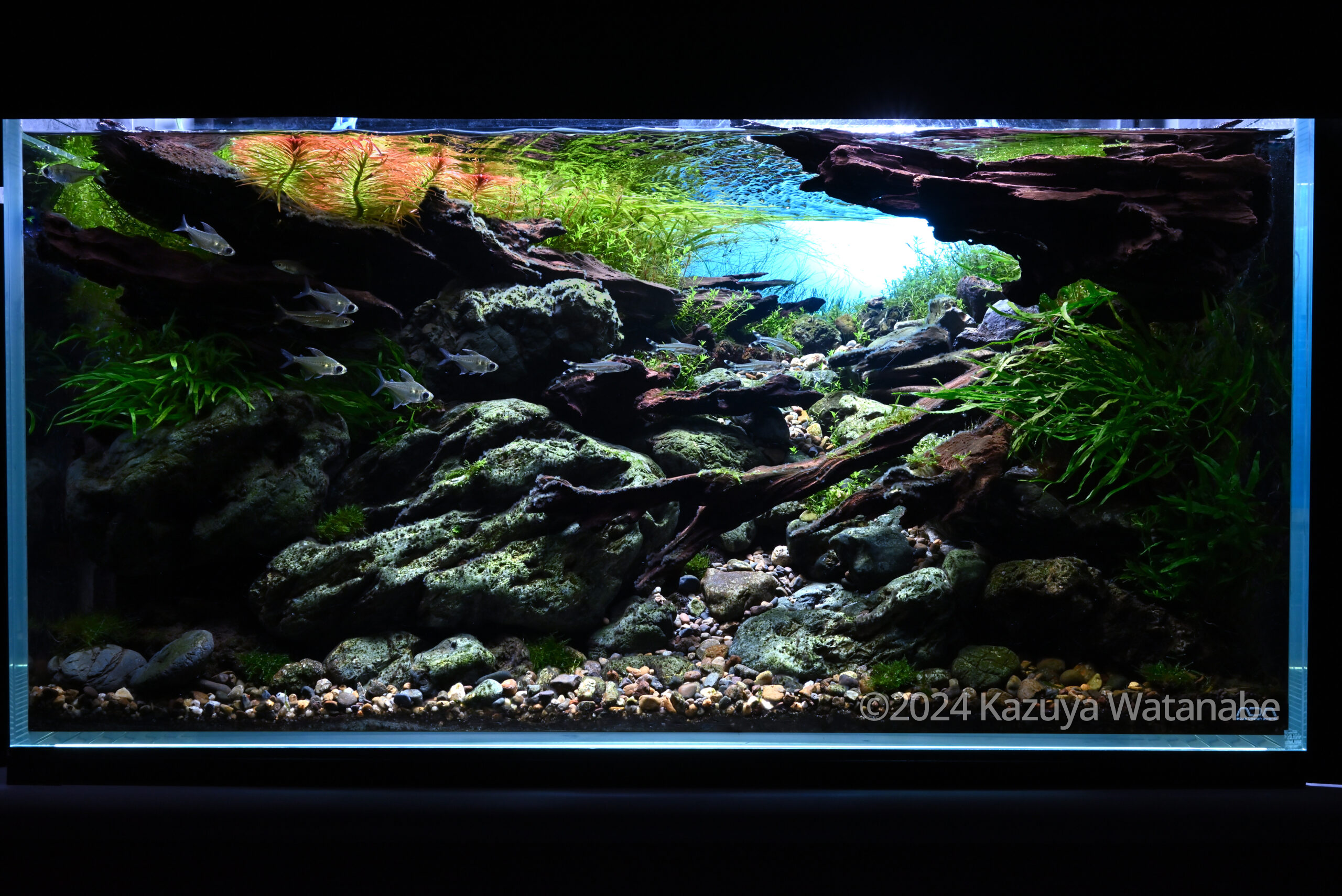 #227 Illuminating the riverbed by Kazuya Watanabe, Japan