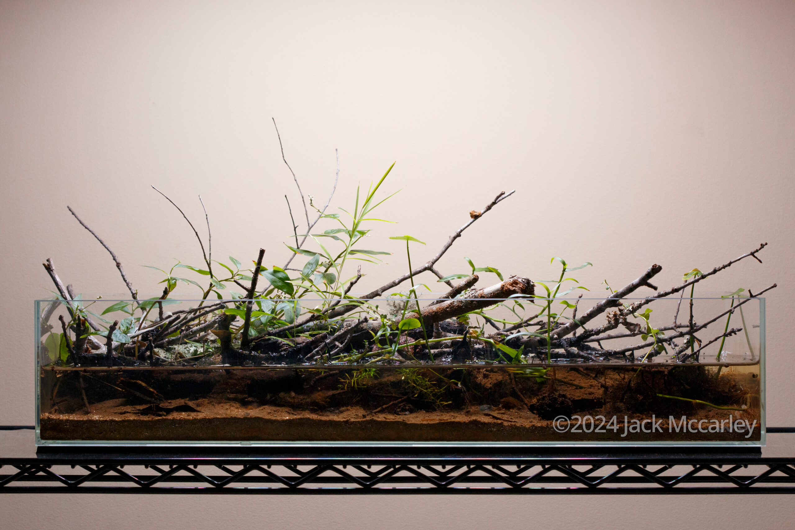 #270 Reedy River: After Helene by Jack Mccarley, United States of America