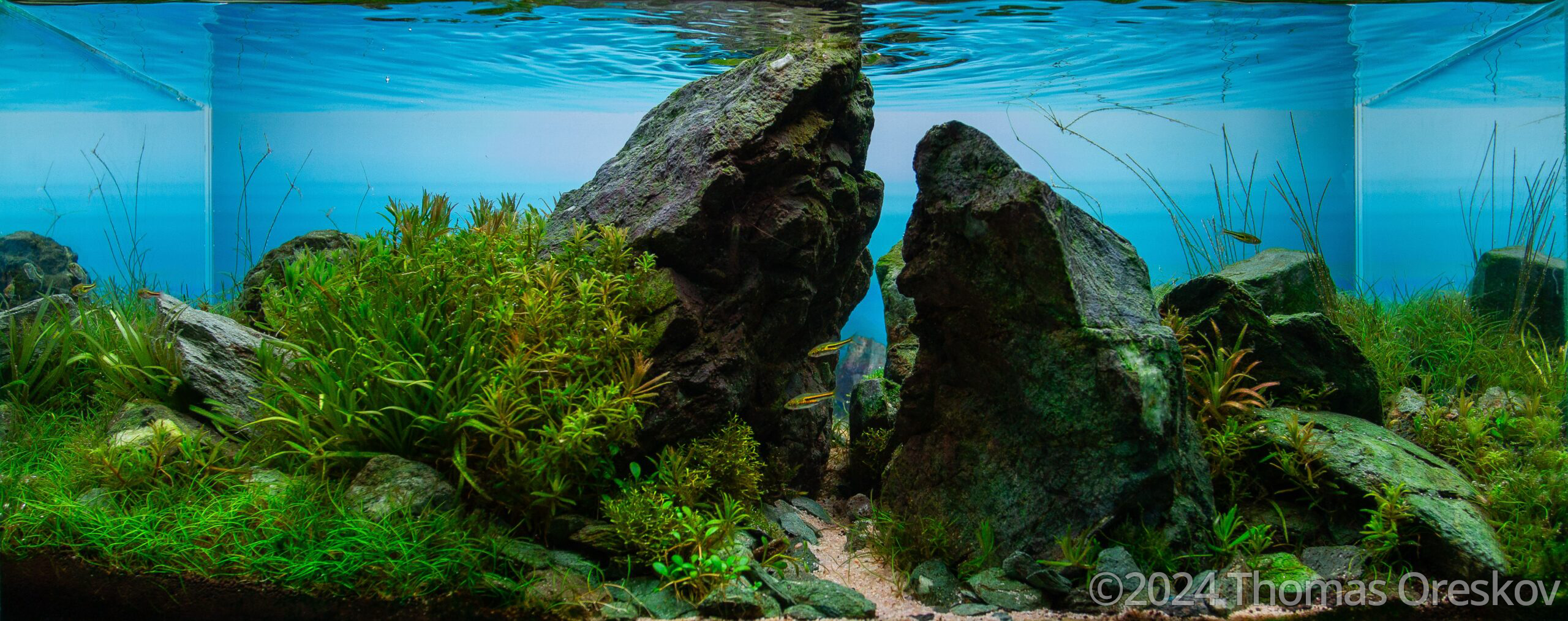 #294 Little big worls by Thomas Oreskov, Denmark