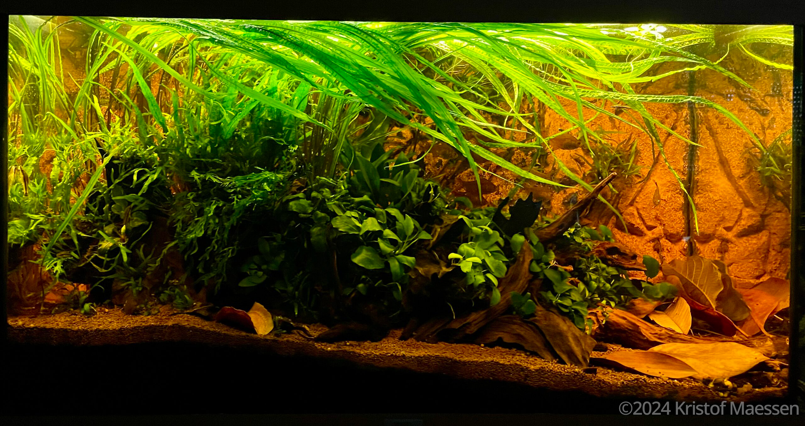 #30 The rising ground by Kristof Maessen, Belgium