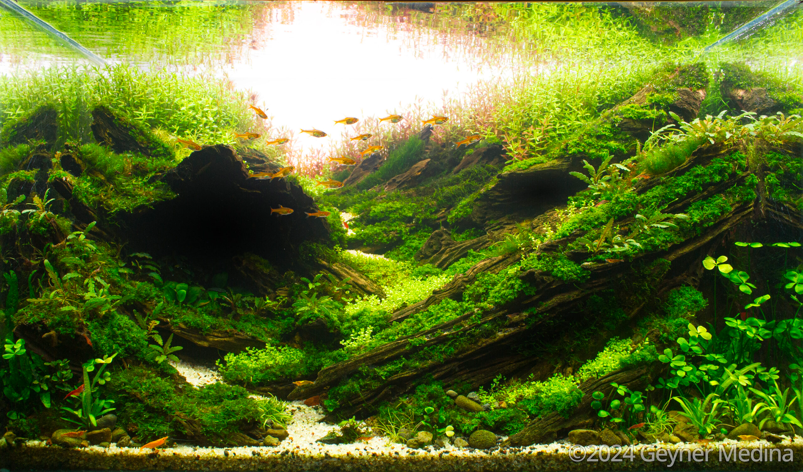 #308 The autumnal equinox by Geyner Medina, Costa Rica
