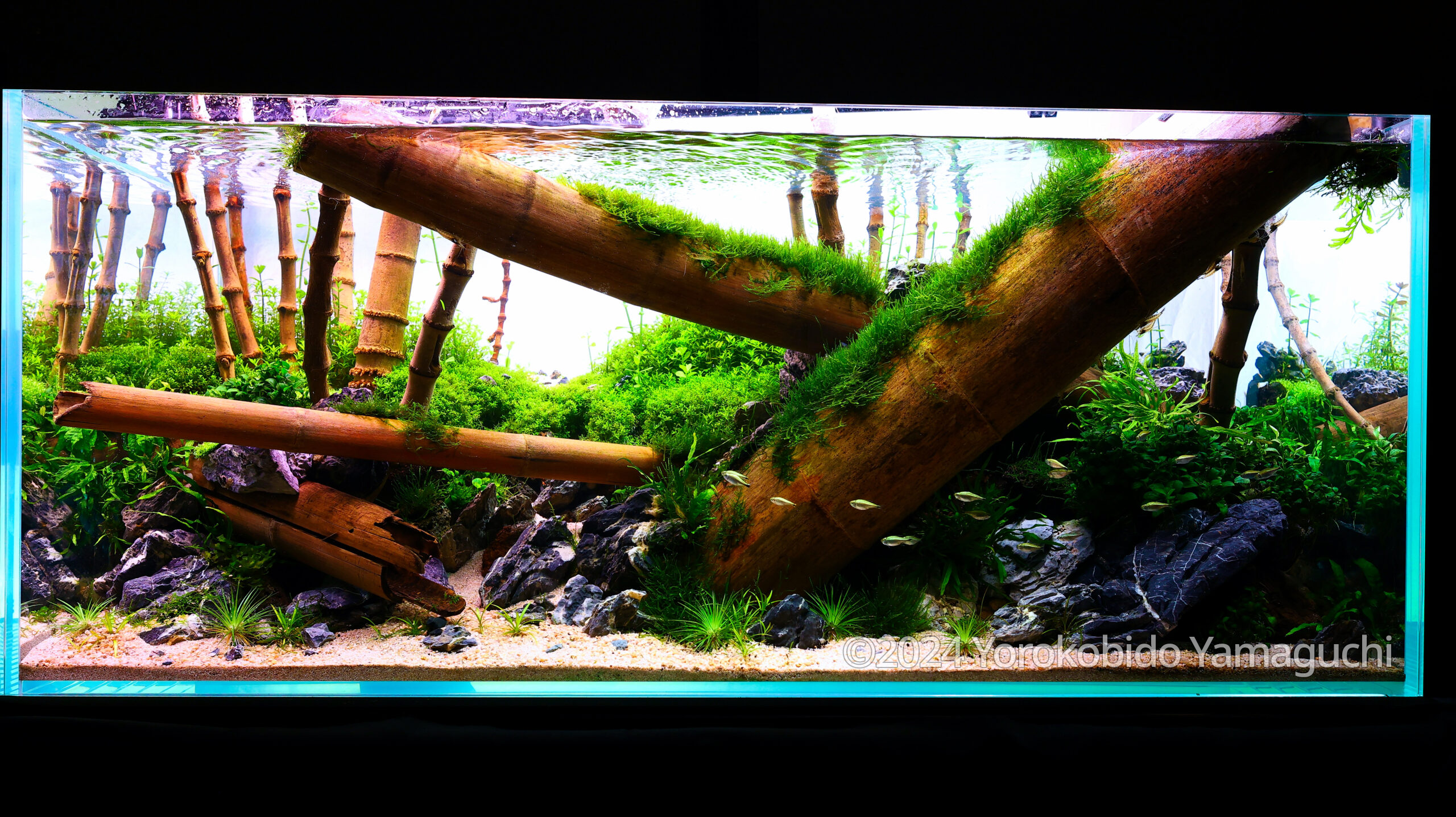 #311 BAMBOO RIVER by Yorokobido Yamaguchi, Japan