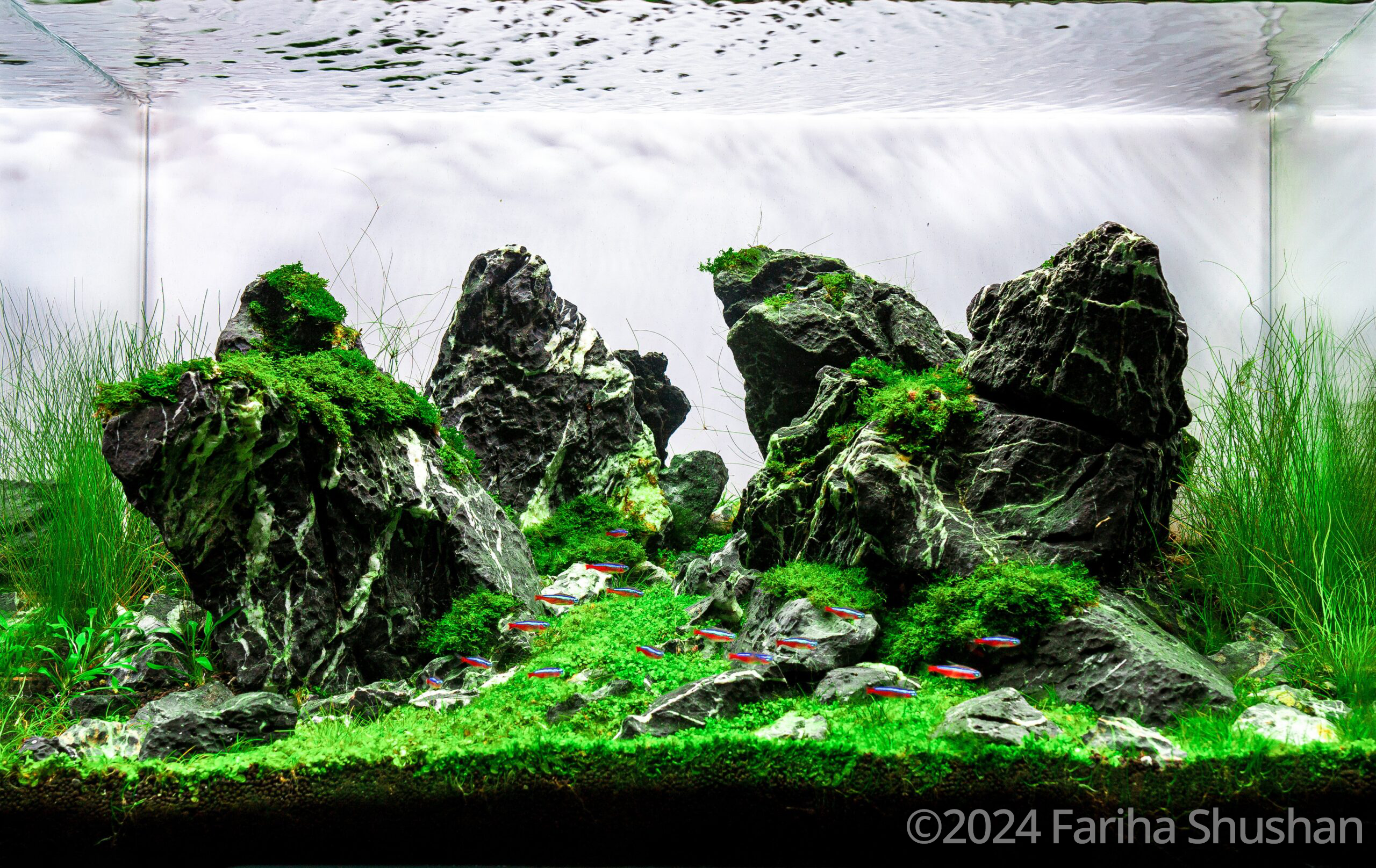 #343 Shallow passage by Fariha Shushan, Bangladesh