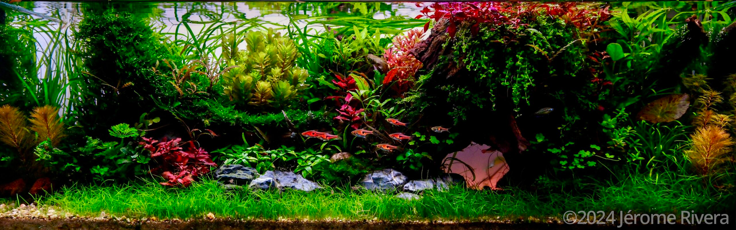 #346 Long Island by Jérome Rivera, France