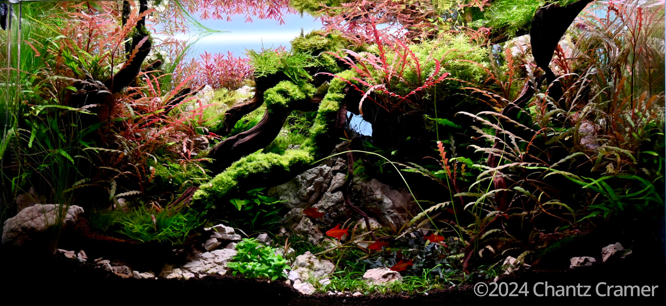 #349 The Humbling River by Chantz Cramer, United States of America
