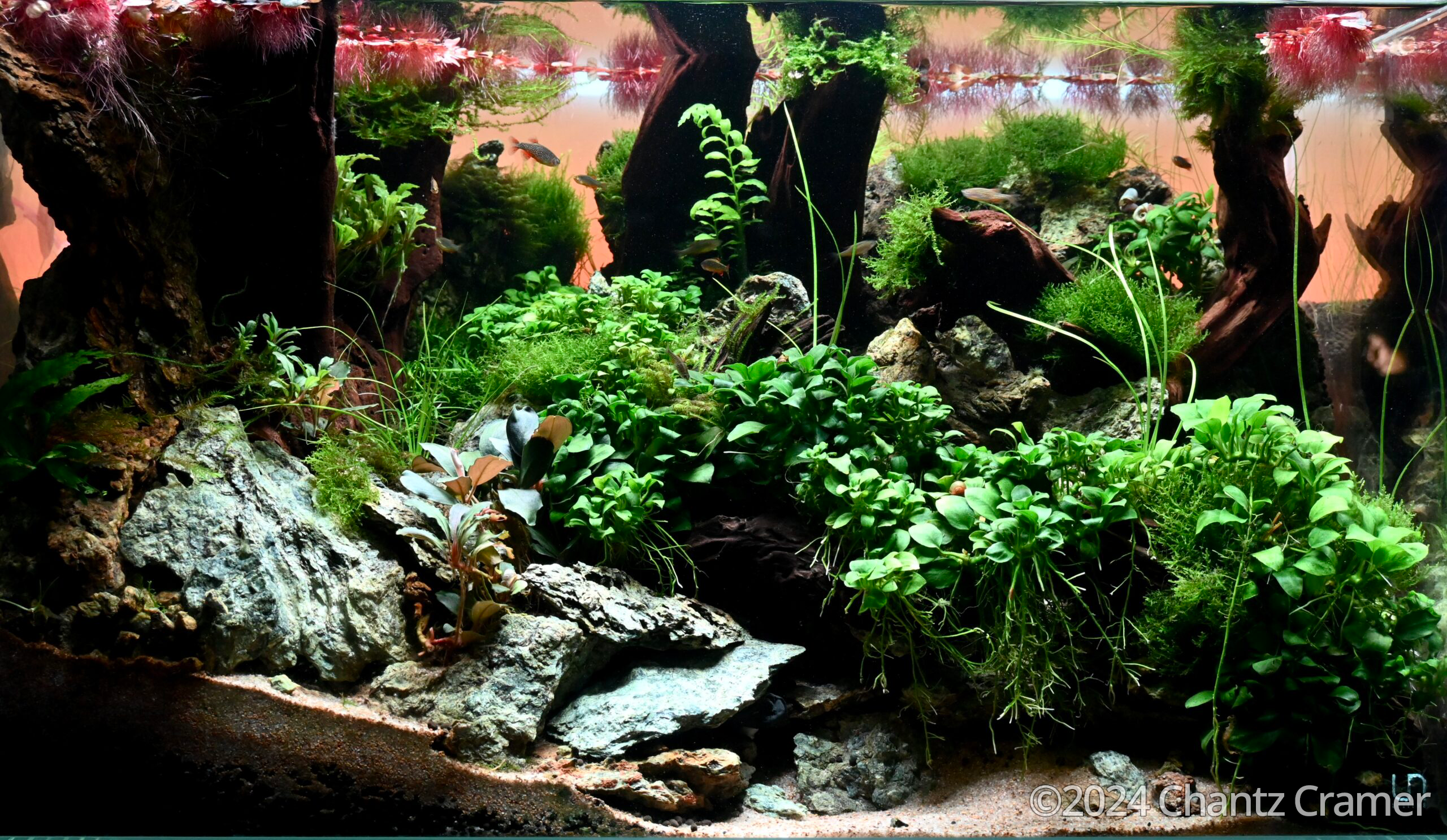 #350 Jade Cascades by Chantz Cramer, United States of America