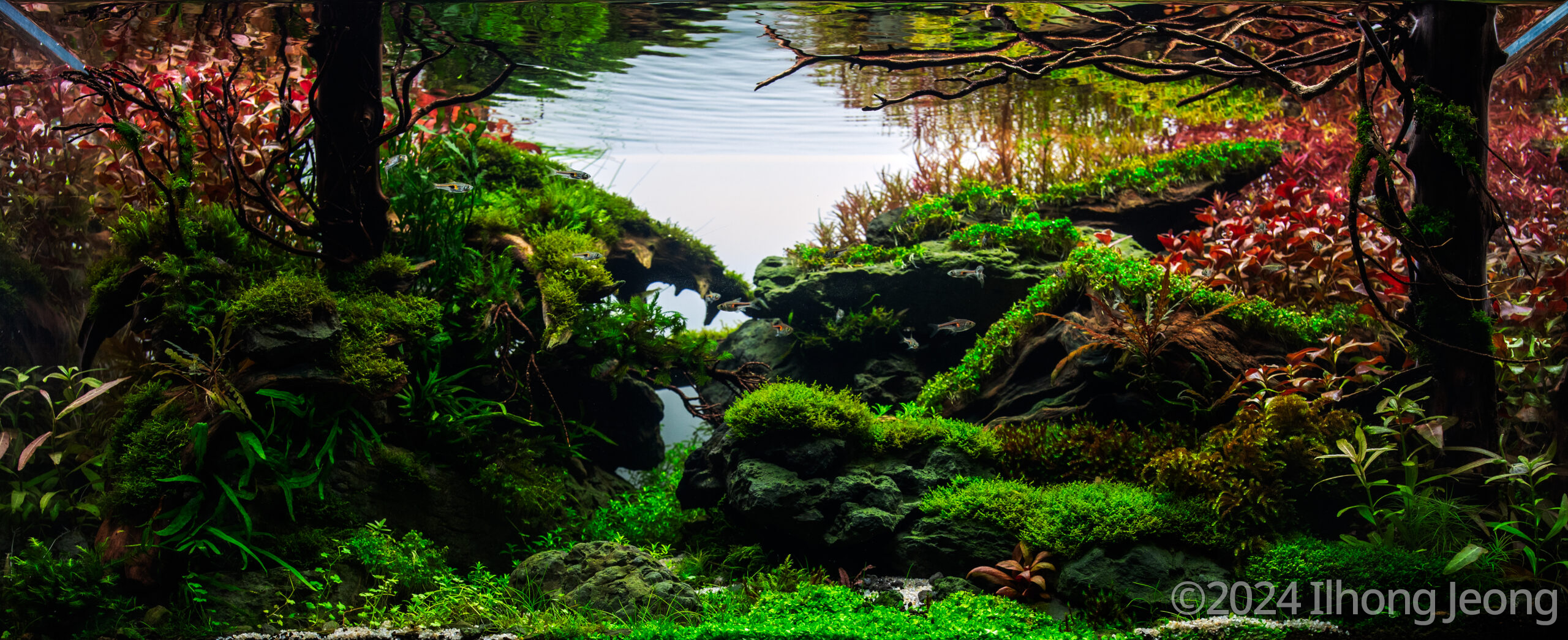 #362 Memories of Autumn by Ilhong Jeong, South Korea