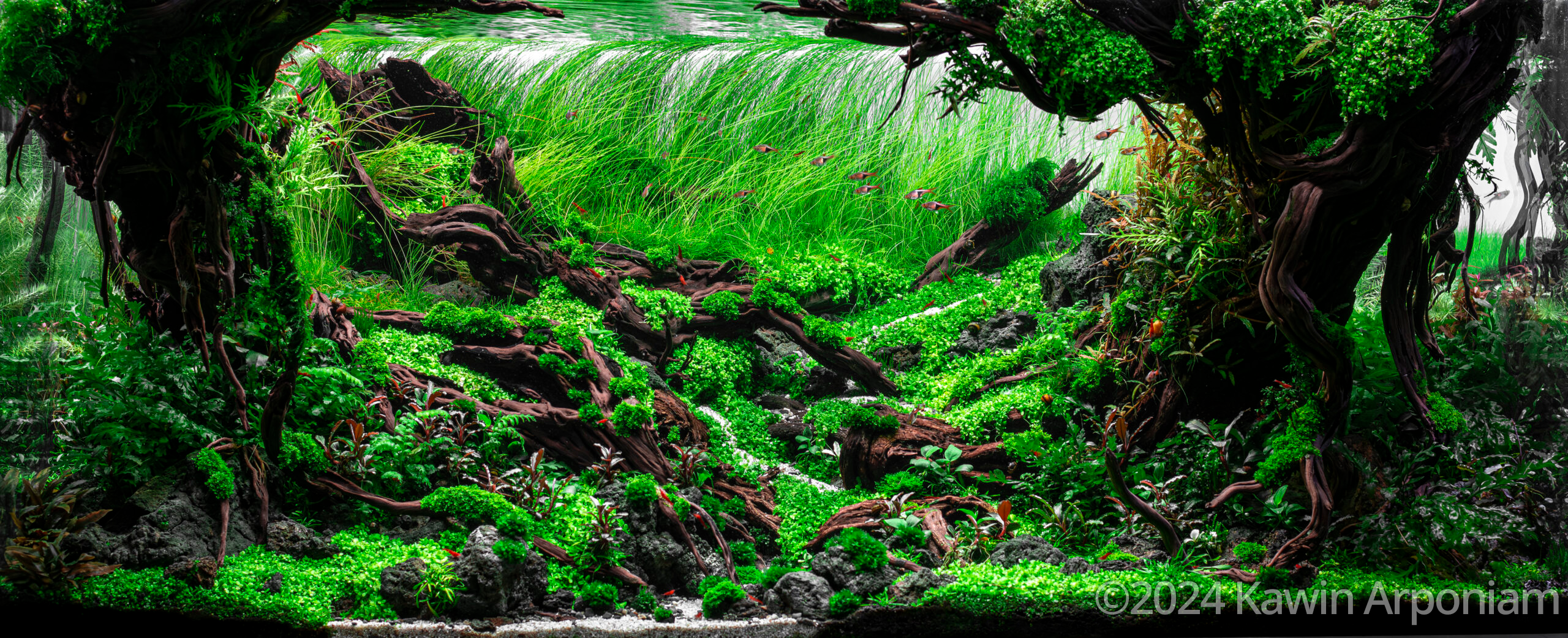 #369 Hidden Paradise by Kawin Arponiam, Thailand