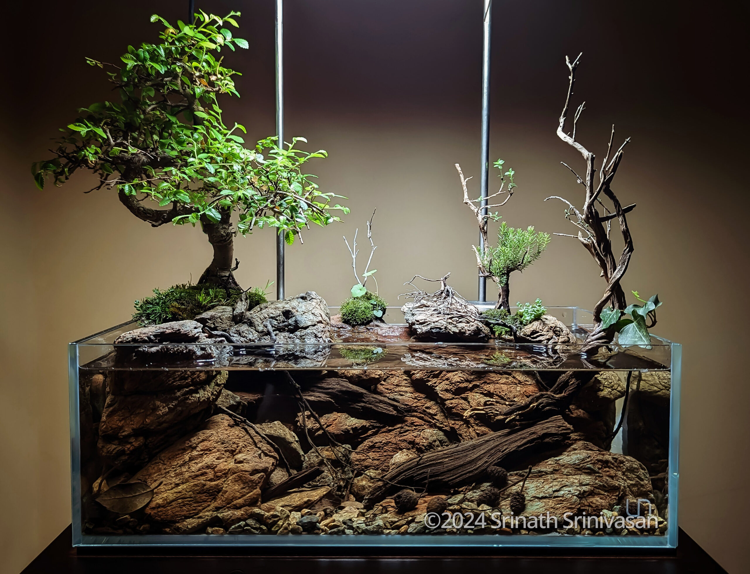 #374 CREEKBED 2.0 by Srinath Srinivasan, Italy