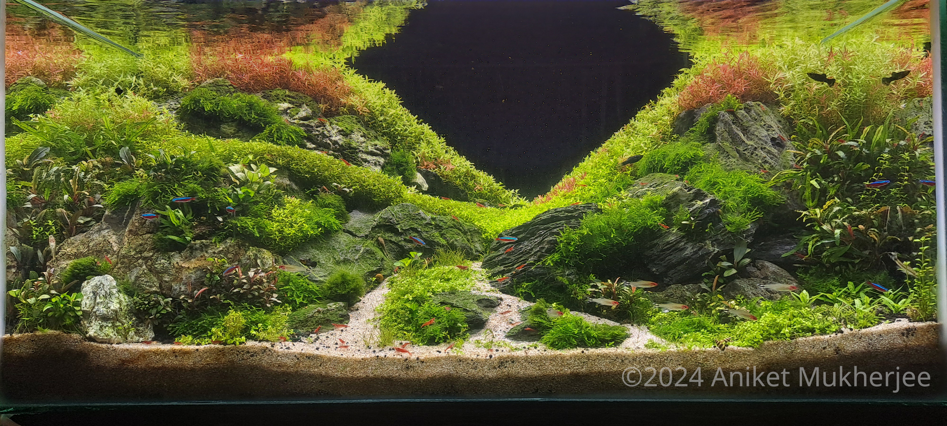 409 Aurora Borealis by Aniket Mukherjee, India