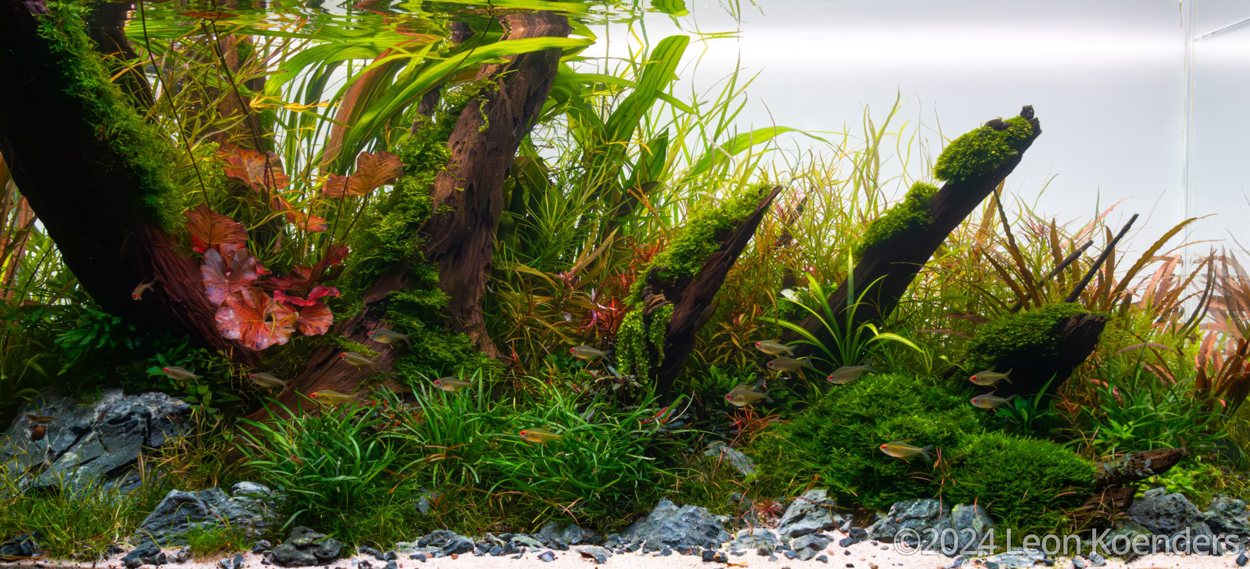 #417 Natural Serenity by Leon Koenders, Netherlands