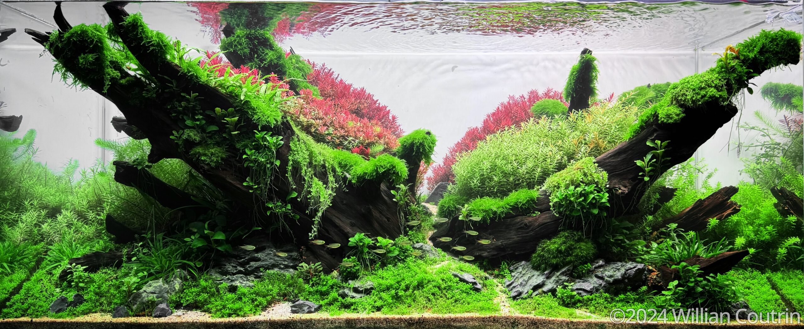 #58 Vale Primaveril by Willian Coutrin, Brazil