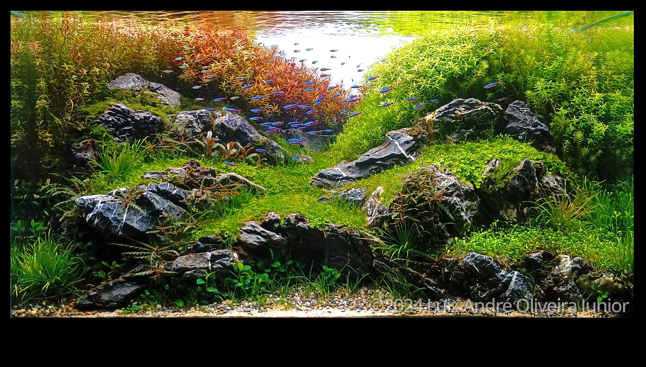 #90 Early autumn in mountain valley by Luiz André Oliveira Junior, Brazil