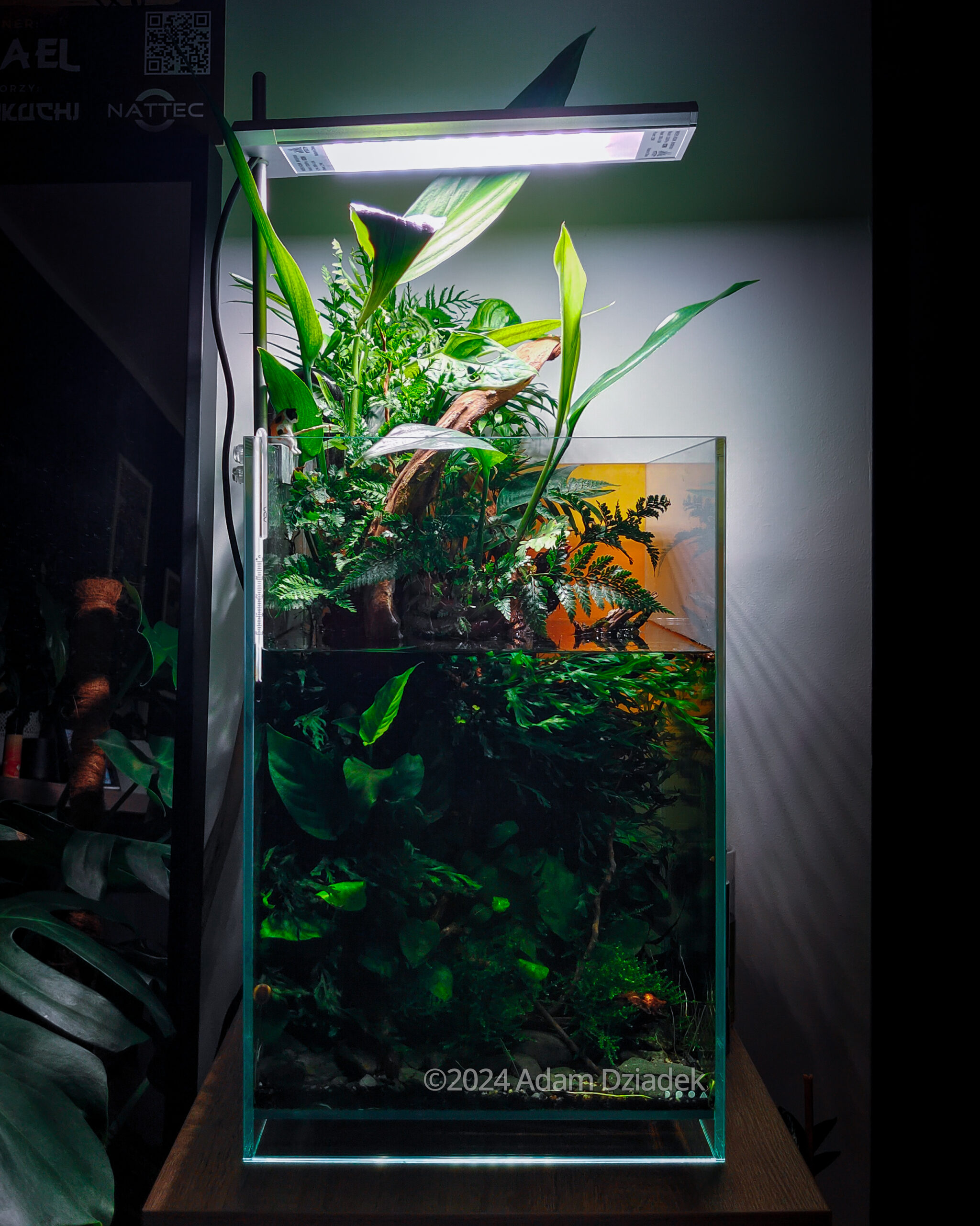 #97 Lost world by Adam Dziadek, Poland